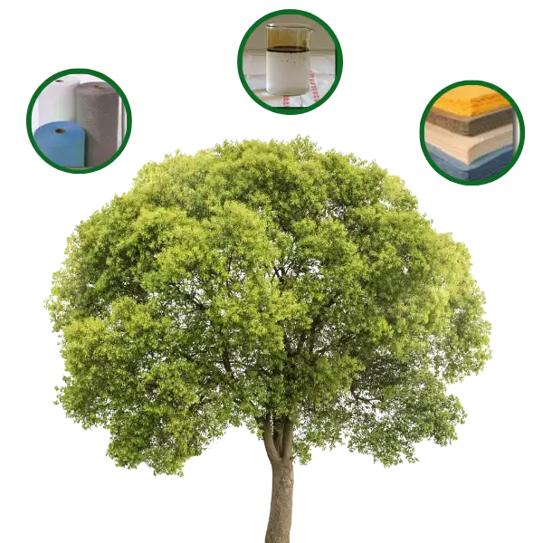 Envionment-Safe-Products